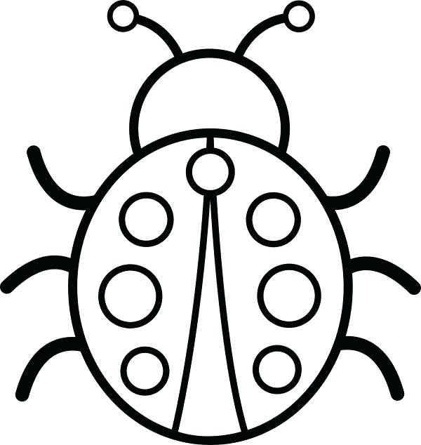 600x634 Ladybug Coloring Page