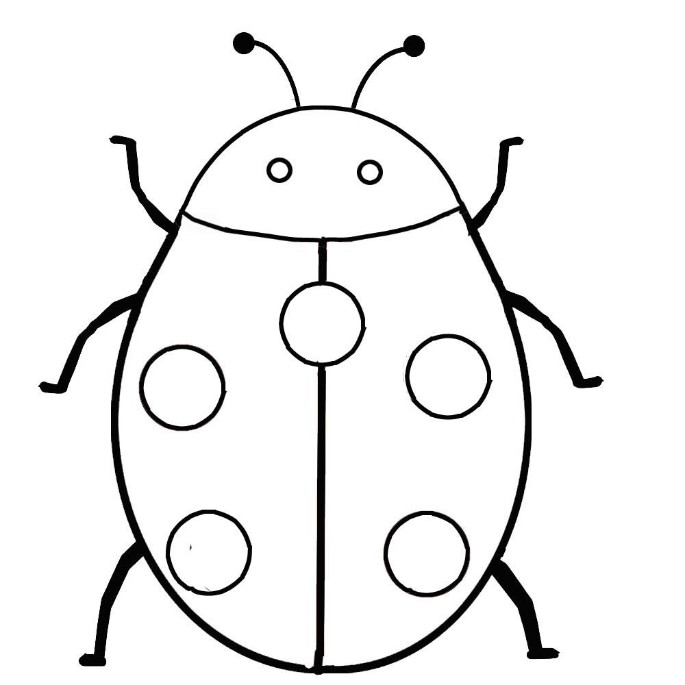 1000x1000 Chic And Creative Ladybug Coloring Pages For Preschoolers To Print