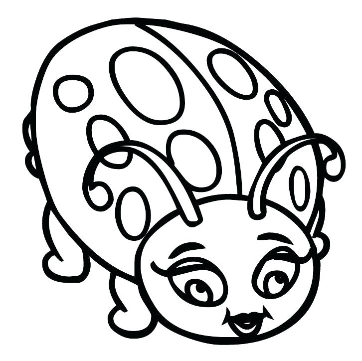 726x724 Ladybug Color Pages Lady Bug Coloring Pages New Ladybug Coloring