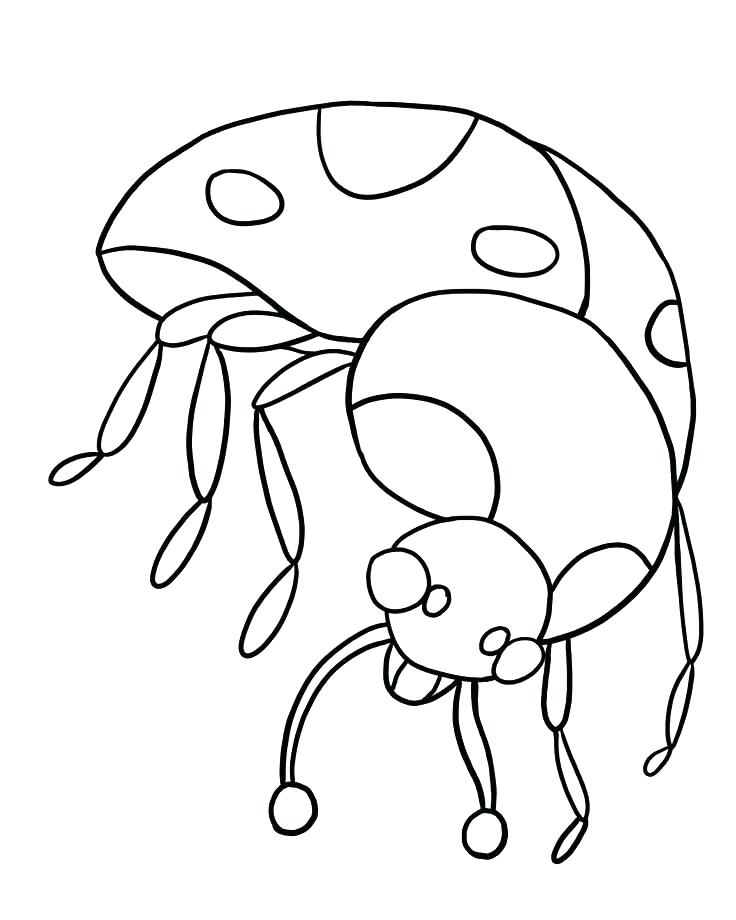 736x920 Ladybug Girl Coloring Pages Lady Bug Page Free To Print Out