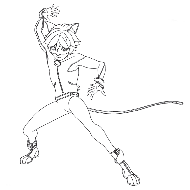 789x789 Cat Noir Colorir.png Miraculous