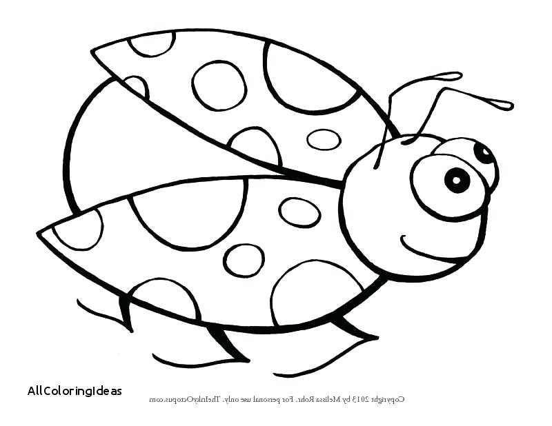 800x618 Ladybug Girl Coloring Pages Lady Bug Coloring Page Golfclix Ideas
