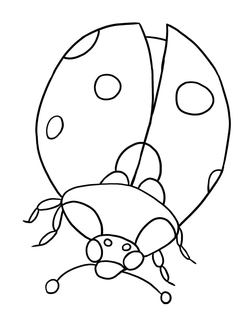 1024x1280 Ladybug Coloring Page Images Highest Clarity Pages Free