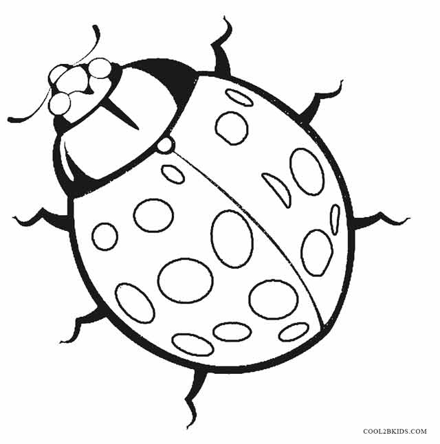 640x646 Ladybug Coloring Pages Unique 11 Printable Ladybug Coloring Pages