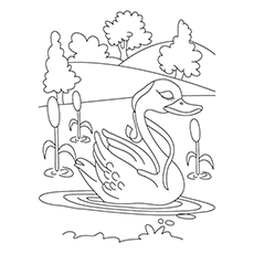 230x230 Top 10 Swan Coloring Pages For Your Little Ones
