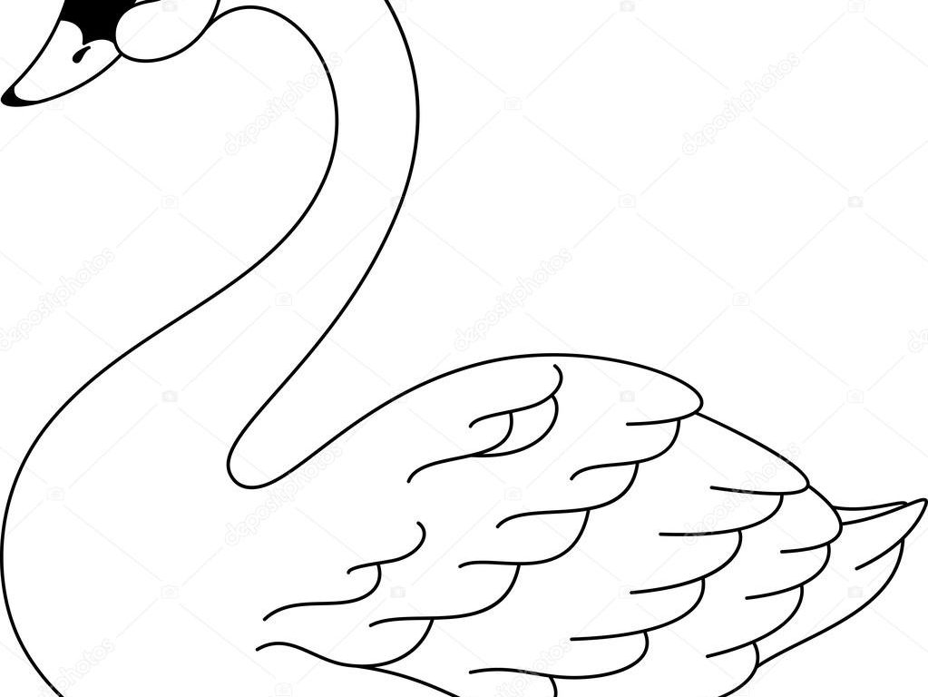 1023x768 Coloring For Kids Literarywondrous Swan Pages Outline Page Duchess