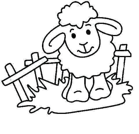 480x460 Sheep Coloring Page Lamb Coloring Pages Lamb Coloring Page Elegant