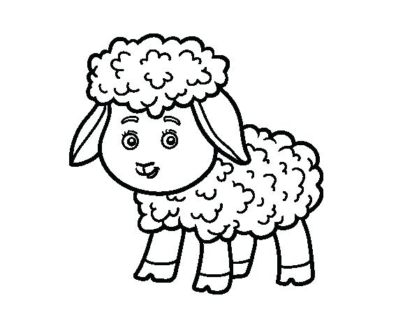 600x470 Coloring Page Lamb A Little Lamb Coloring Page Free Coloring Page