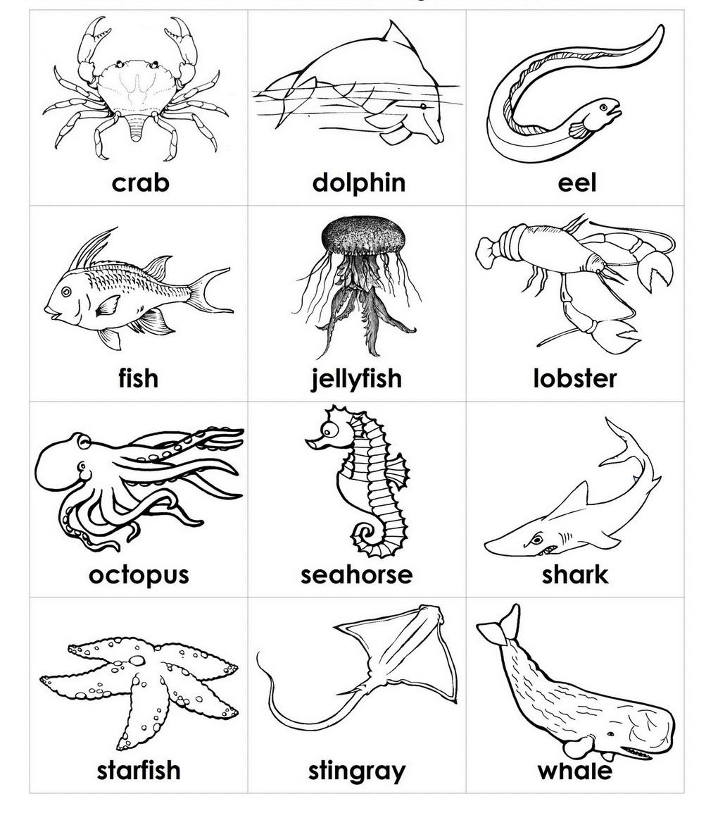 1020x1154 Ocean Animals Coloring Pages