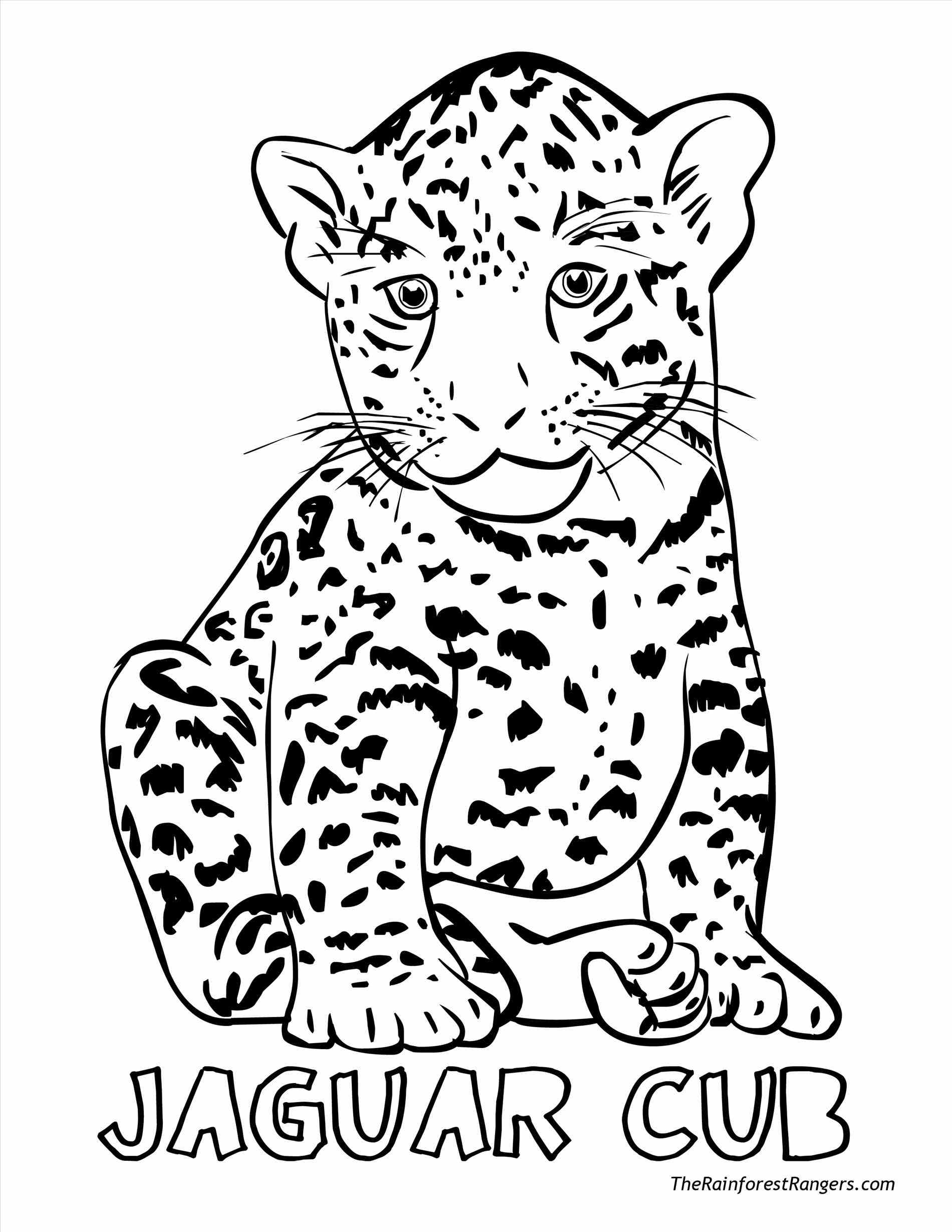 1900x2458 Gorgeous Farm Animals Coloring Pages Free Printable Animal