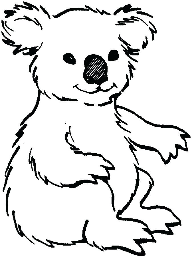 673x900 Land Animals Colouring Pages To Color Koala Fuhrer Von