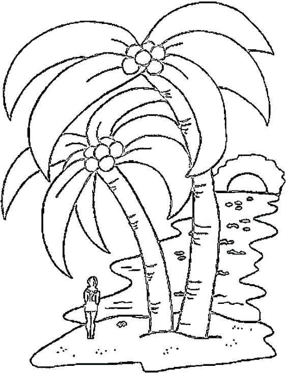 564x734 Landform Coloring Pages