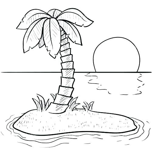 500x500 Landscape Coloring Pages Tree Leaves Coloring Pages Palm Tree