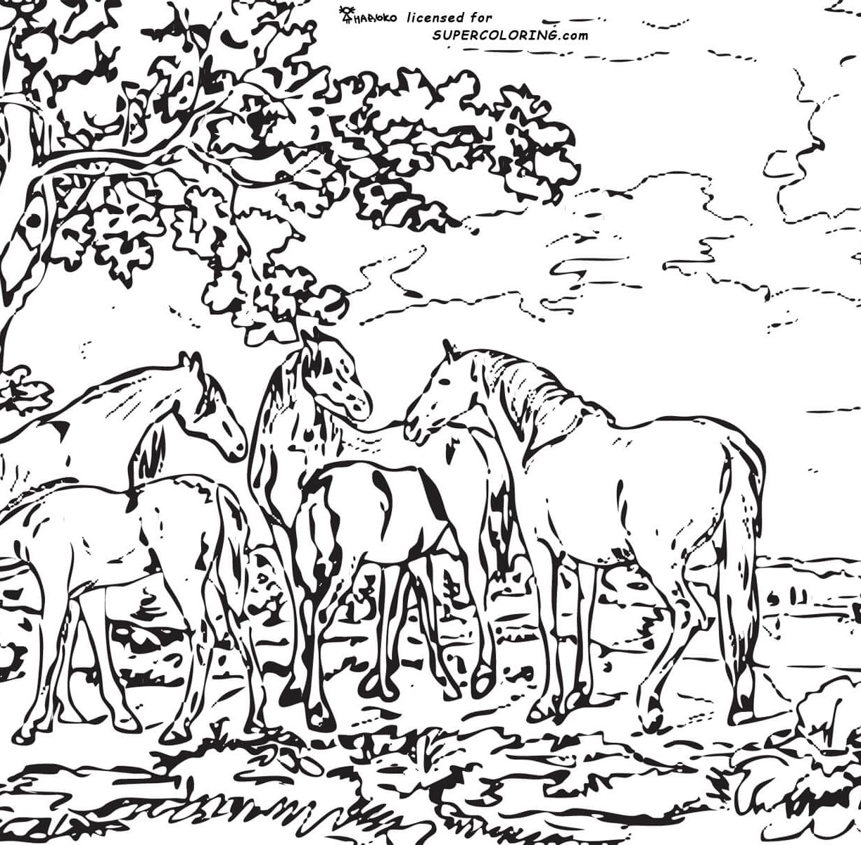 1224x1200 Landscape Coloring Pages Beside Beach Beautiful For Toddler Adult