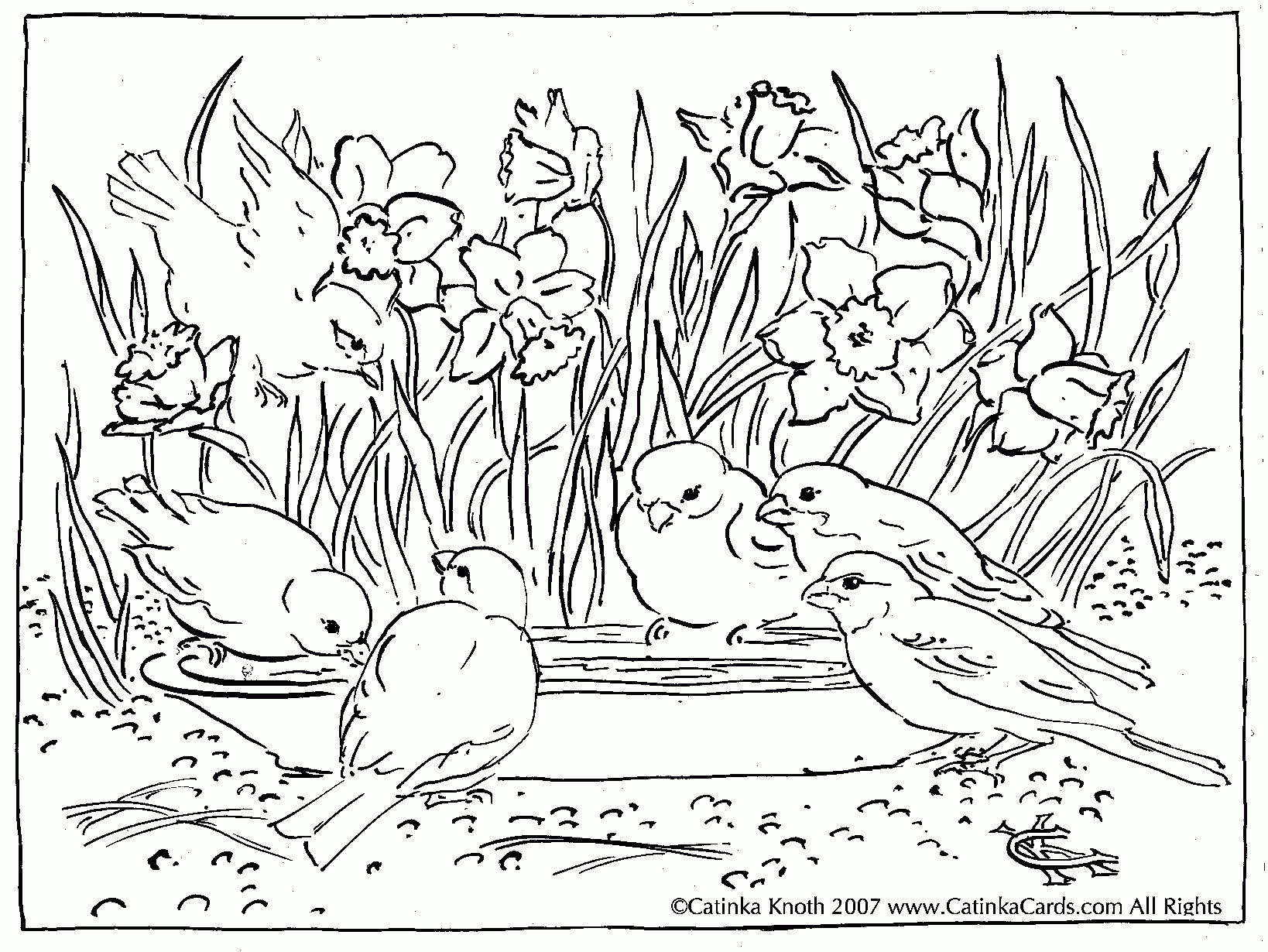 1638x1230 Luxury Coloring Pages For Adults Landscapes