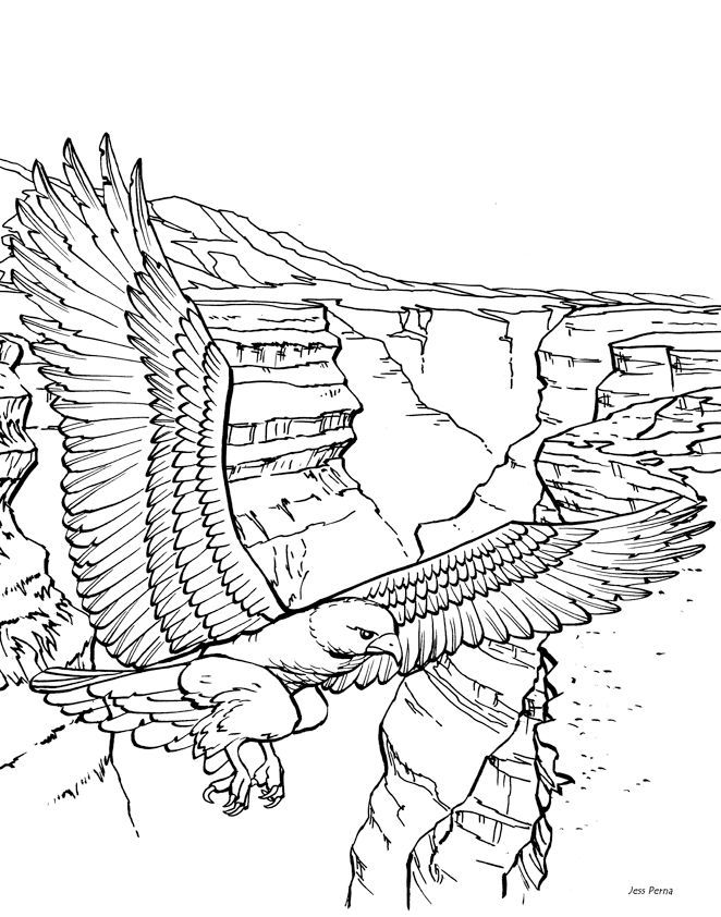 662x842 Scenic Coloring Pages Adults Winter Landscape Coloring Pages