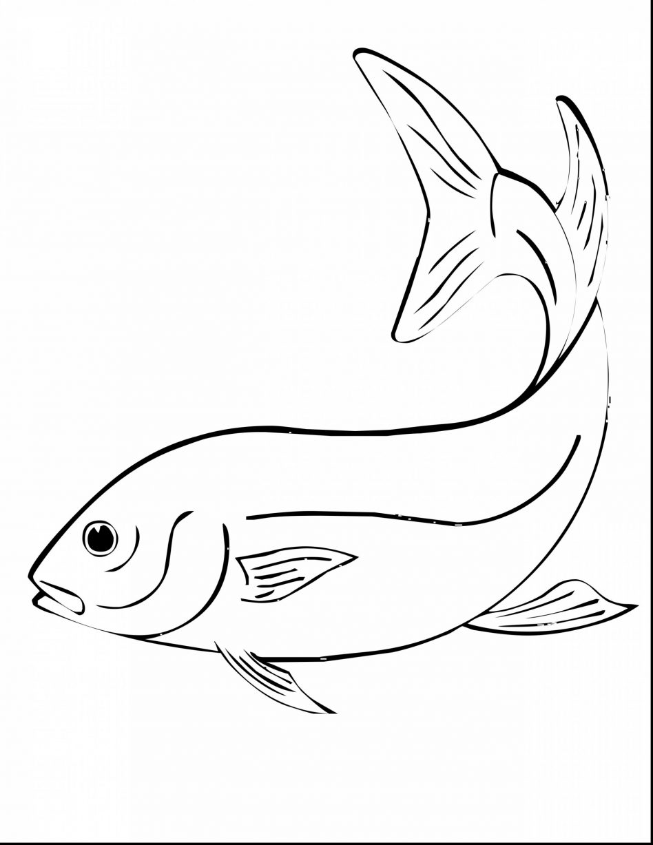 948x1227 Walleye Coloring Page With Wallpapers Laptop Mayapurjacouture Com