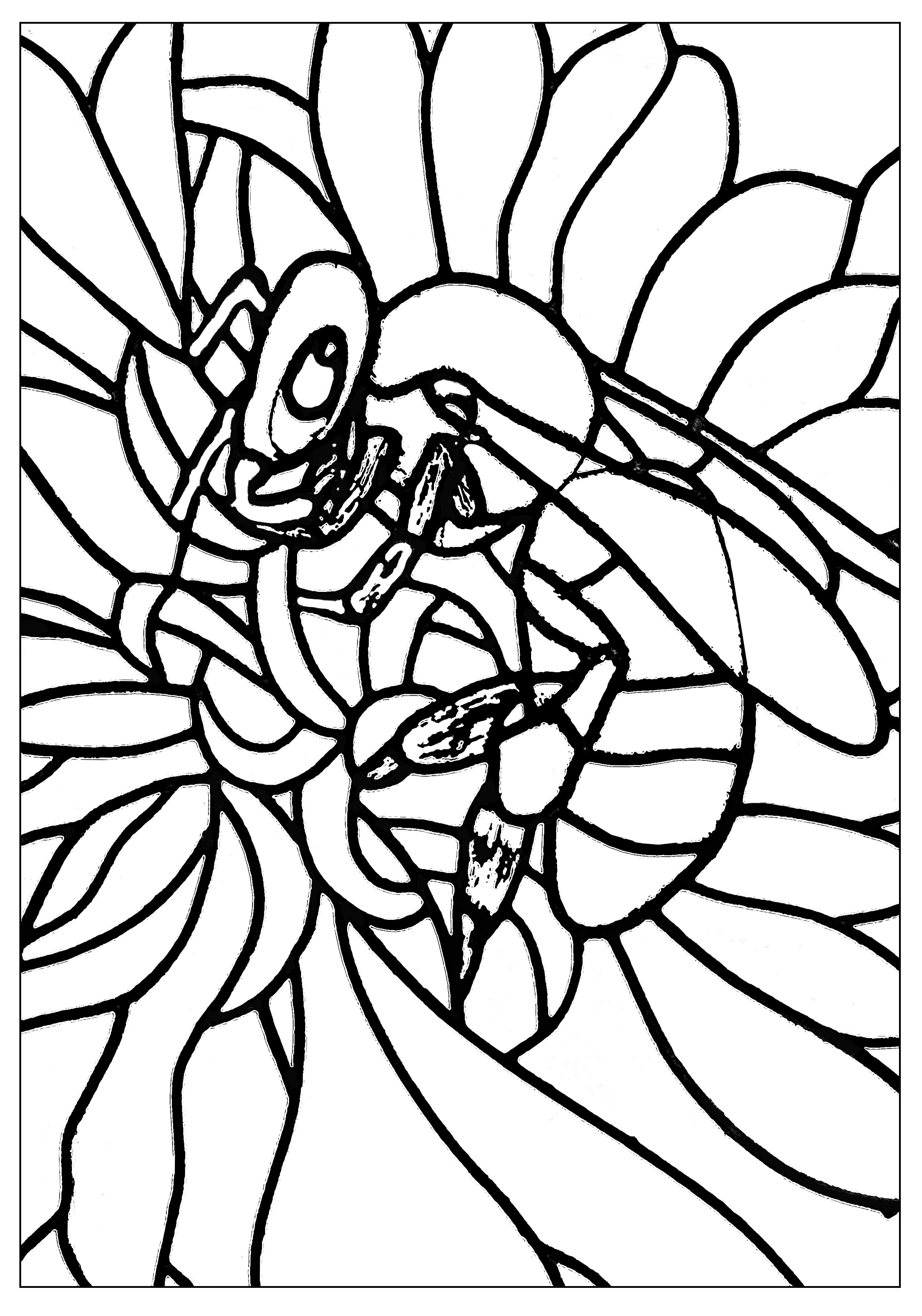 2526x3604 Bee