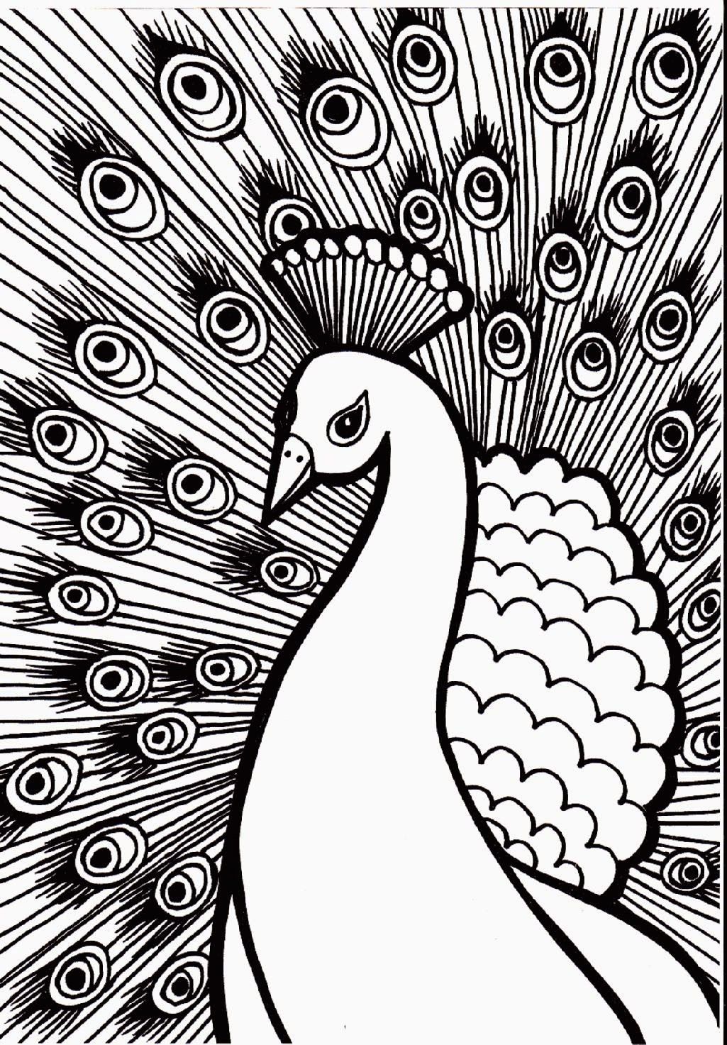 1025x1473 Stunning Printable Adult Coloring Pages Pat Catan Us Of For Large