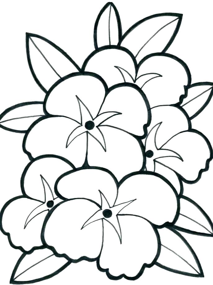 687x920 Large Print Coloring Pages Large Print Coloring Pages Stock Print
