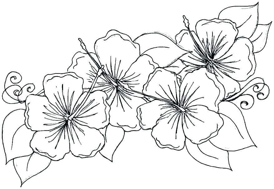 878x607 Printable Flower Coloring Pages For Adults Flowers Coloring Pages