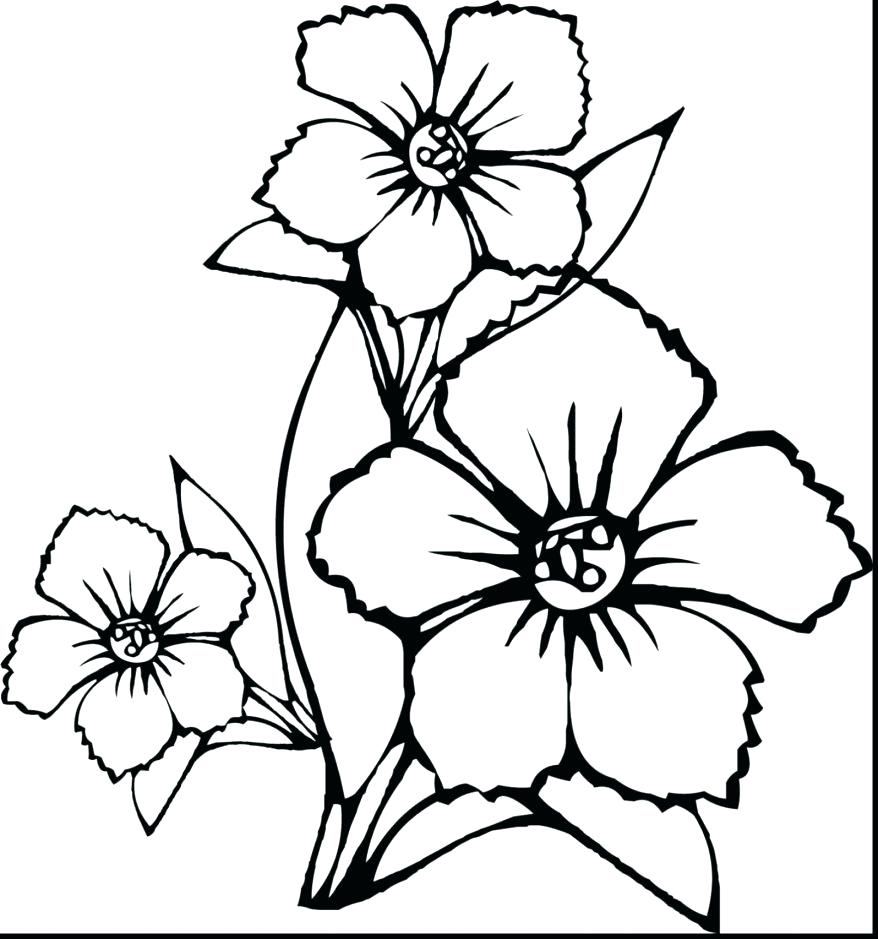 878x939 Coloring Pages ~ Spring Flowers Coloring Pages Fabulous How