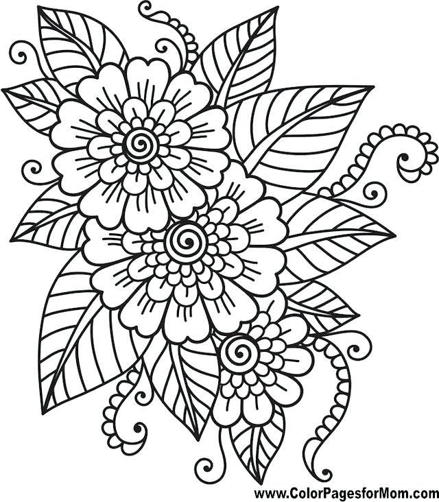 640x732 Big Flower Coloring Pages Big Flower Coloring Pages Big Flower