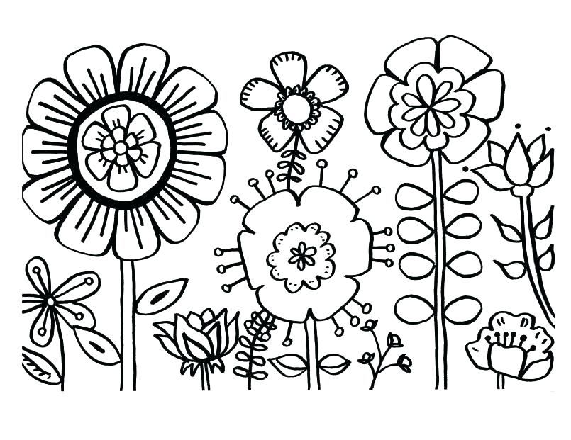 805x621 Big Flower Coloring Pages Large Flower Coloring Pages Flower
