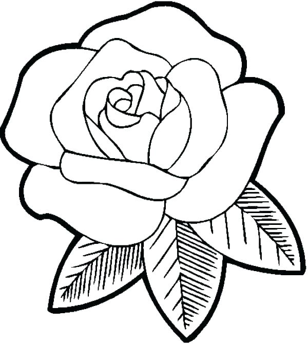 600x670 Coloring Pages Cool Printable Flower Template Printable Paper 5