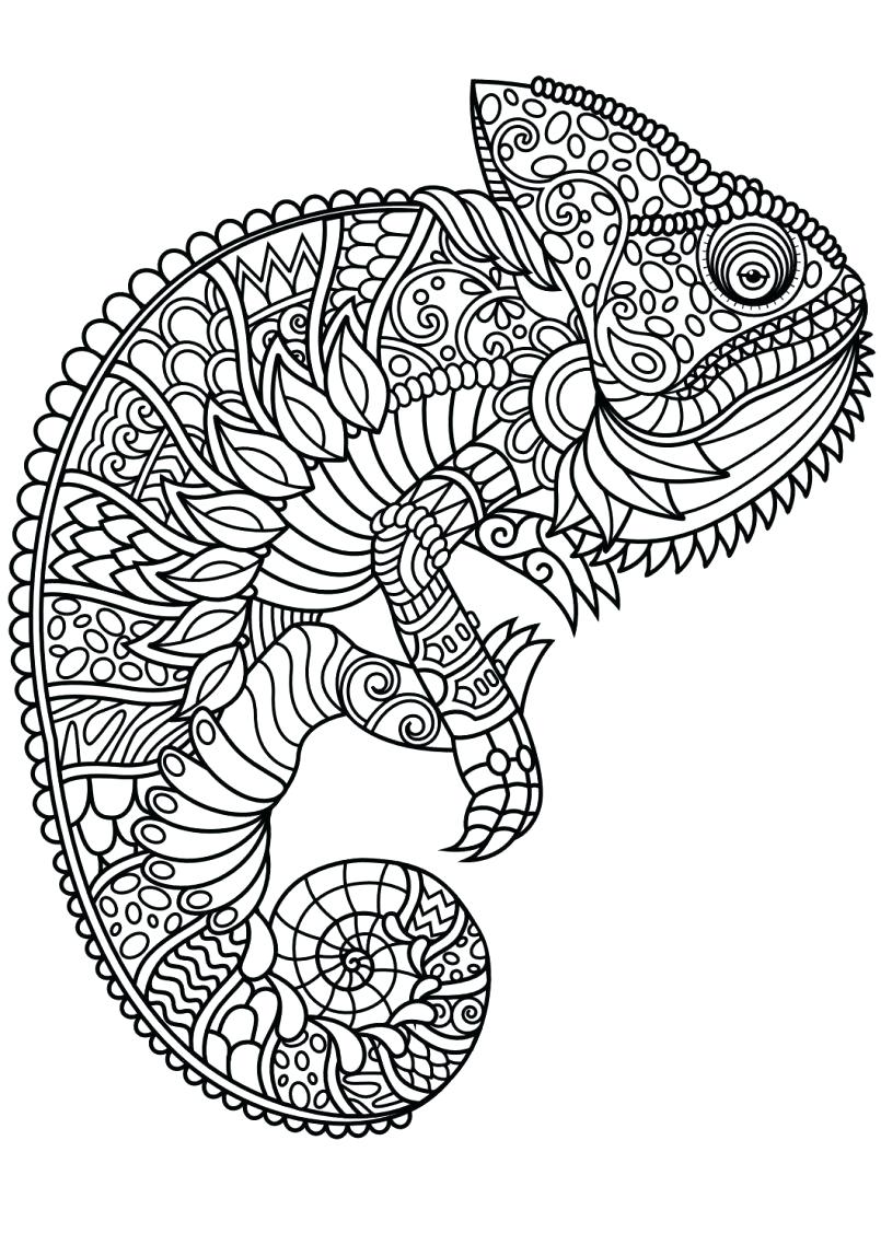 805x1138 Coloring Page ~ Animal Mandala Coloring Pages Also With Farm Pdf
