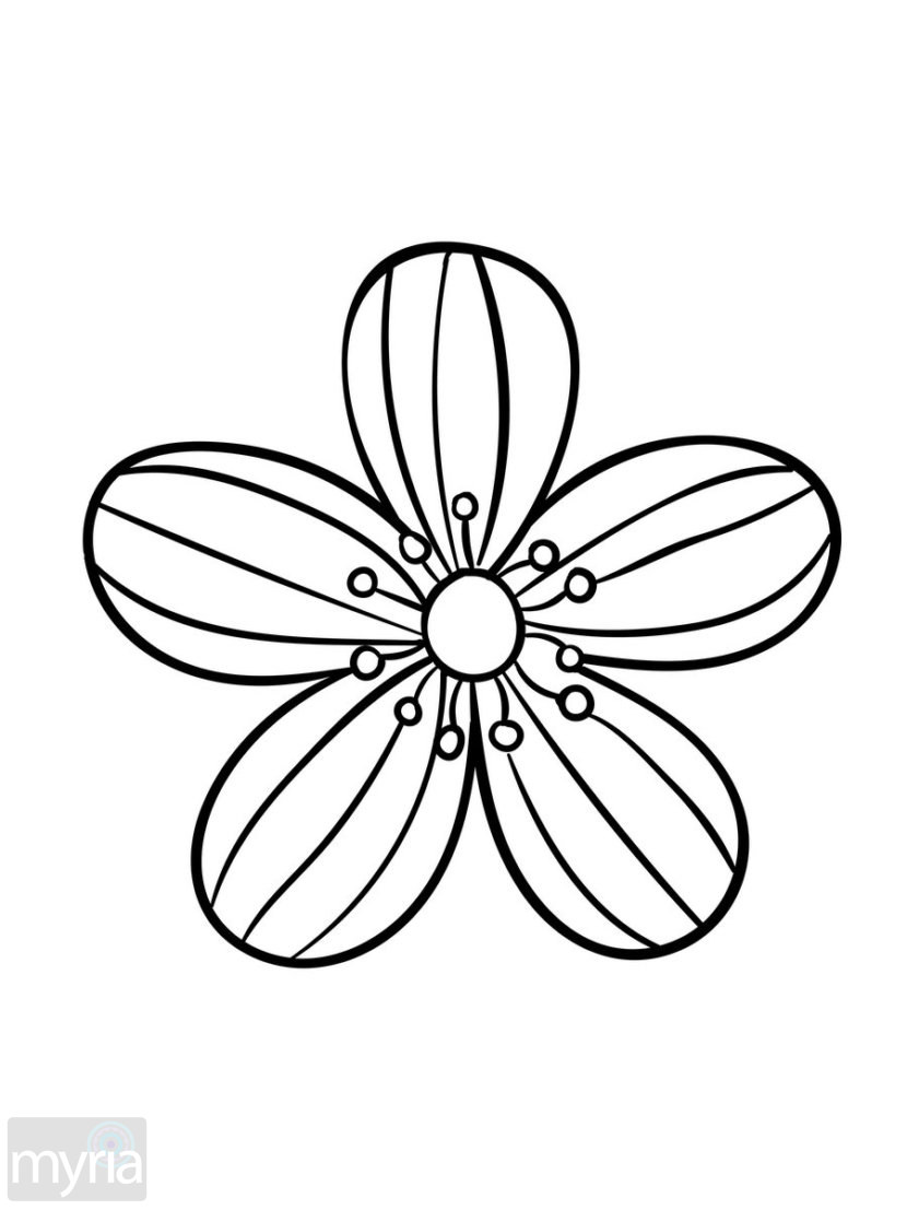 830x1107 Large Print Adult Coloring Book