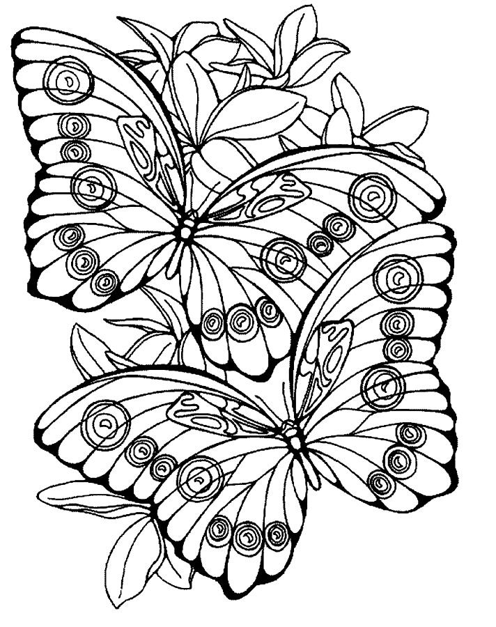 712x900 Large Print Coloring Pages For Adults
