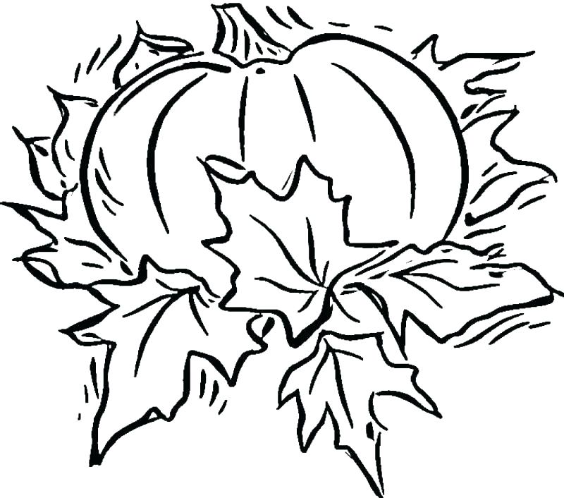 800x706 Large Print Coloring Pages Large Print Coloring Pages Large
