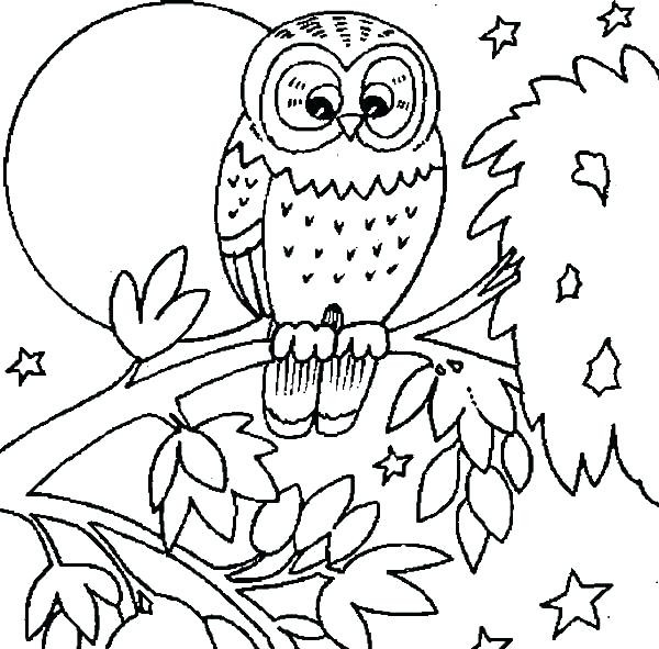 600x591 Large Print Coloring Pages Owl And At Wagashiya