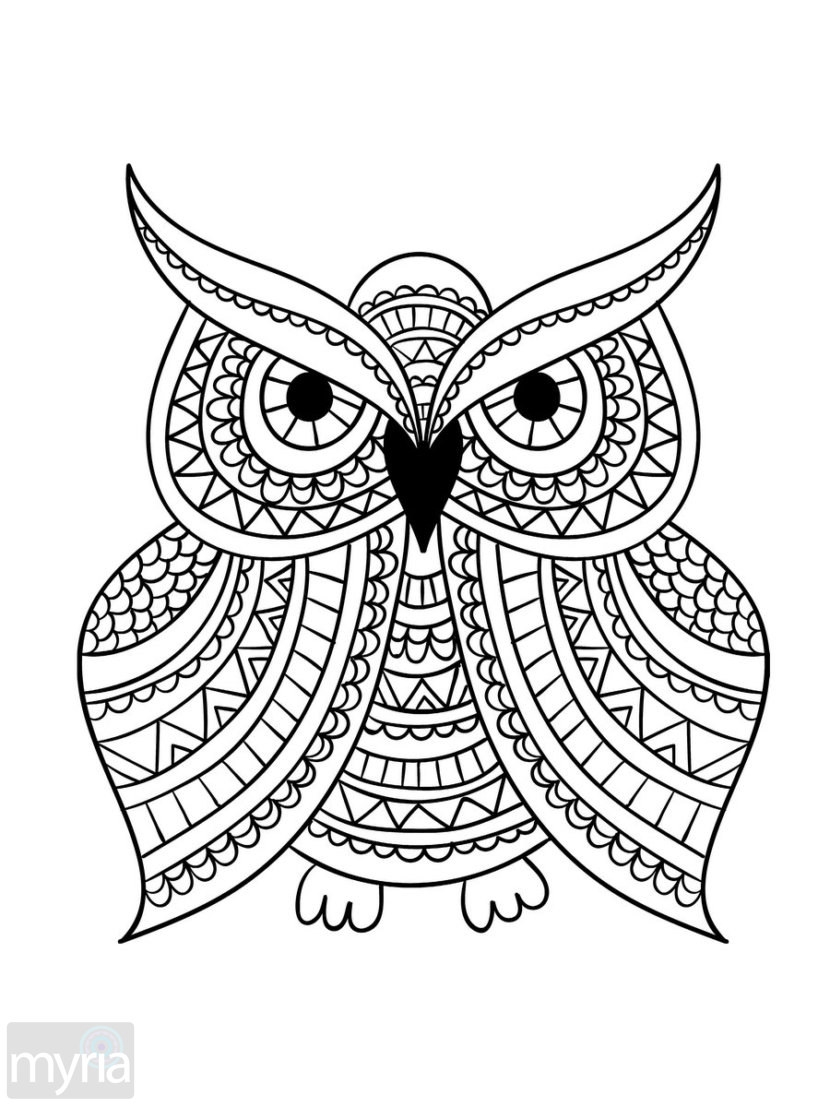 830x1107 Unique Large Print Coloring Pages For Adults Gallery Free