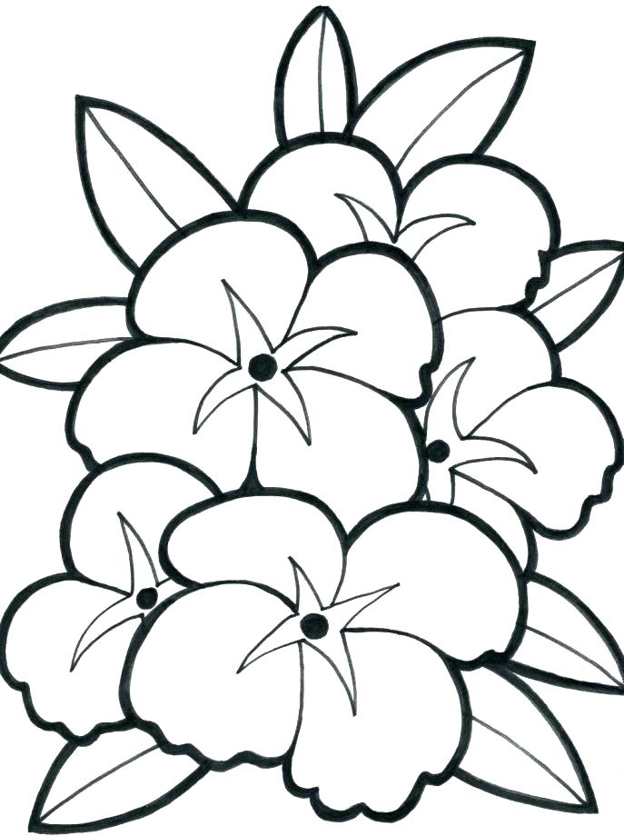 687x920 Large Print Coloring Pages Printable Coloring Pages Flowers Adults
