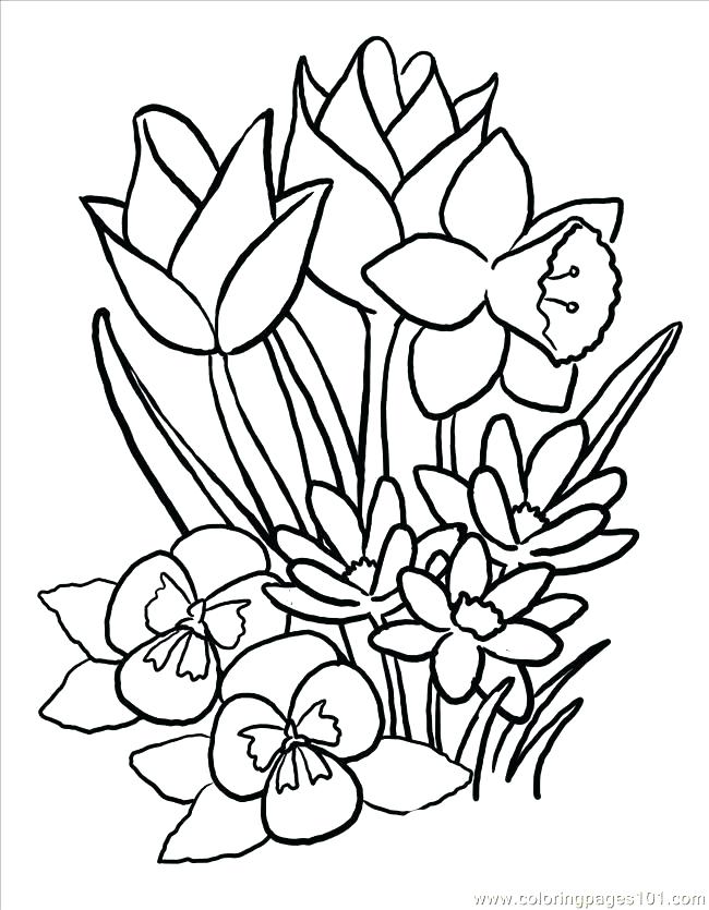 650x835 Large Print Coloring Pages Large Coloring Pages And Coloring Pages