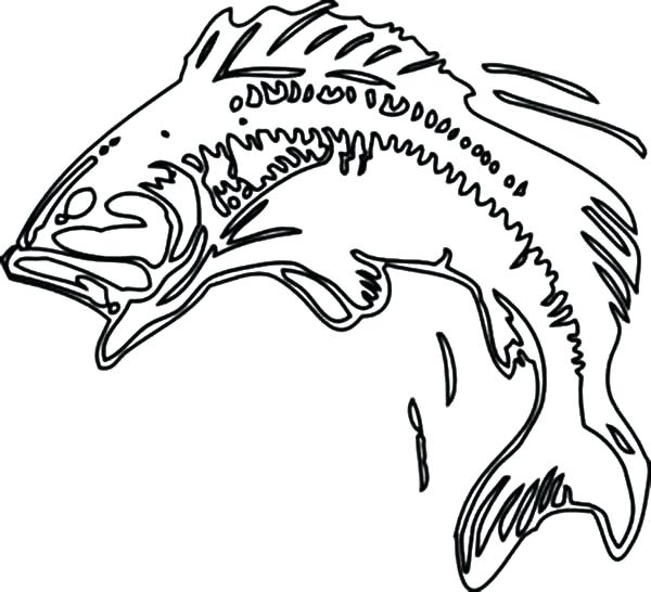 600x546 Bass Fish Jumping Coloring Pages River Bass Fishing Fish Coloring