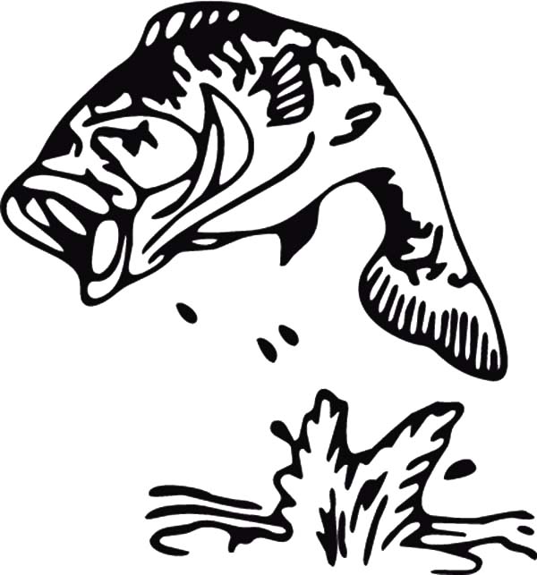 600x643 Largemouth Bass Fishing Coloring