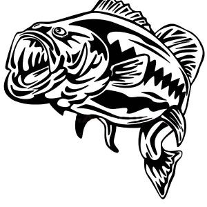 300x300 Top 74 Bass Coloring Pages