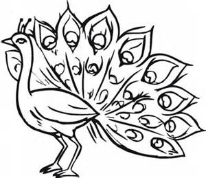 300x259 Peacock Coloring Pages Pavo Cristatus The Latin Name Of Peacock