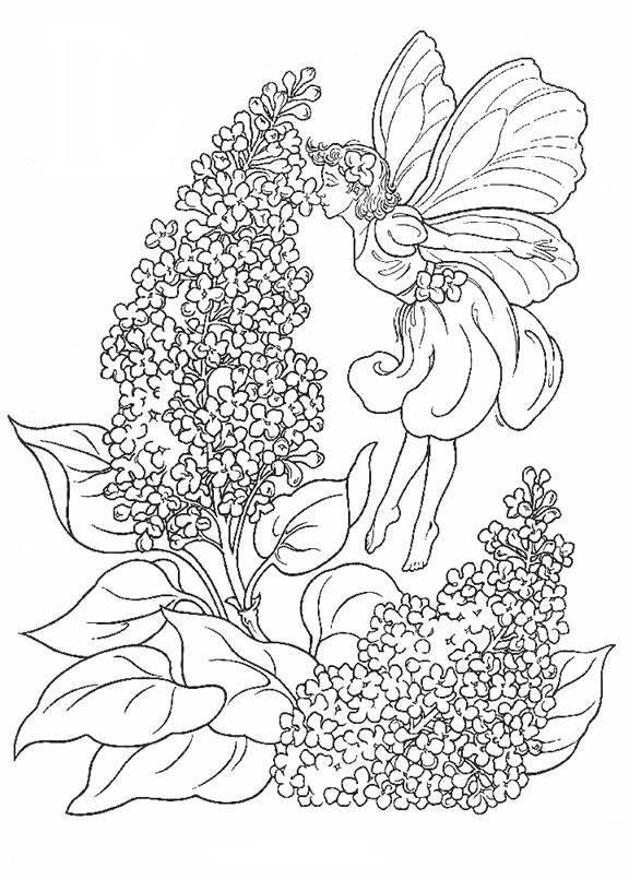 Lavender Coloring Page