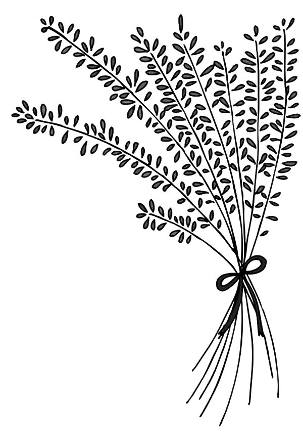 600x882 Lavender Flower Arrangement Coloring Pages