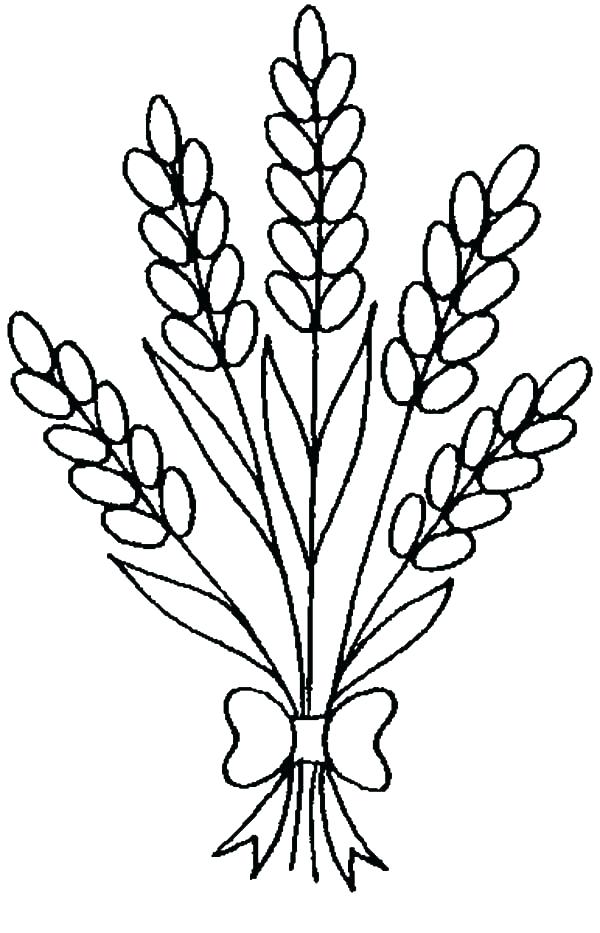 600x933 Red Ribbon Coloring Pages Ribbon Coloring Page And Lavender Flower