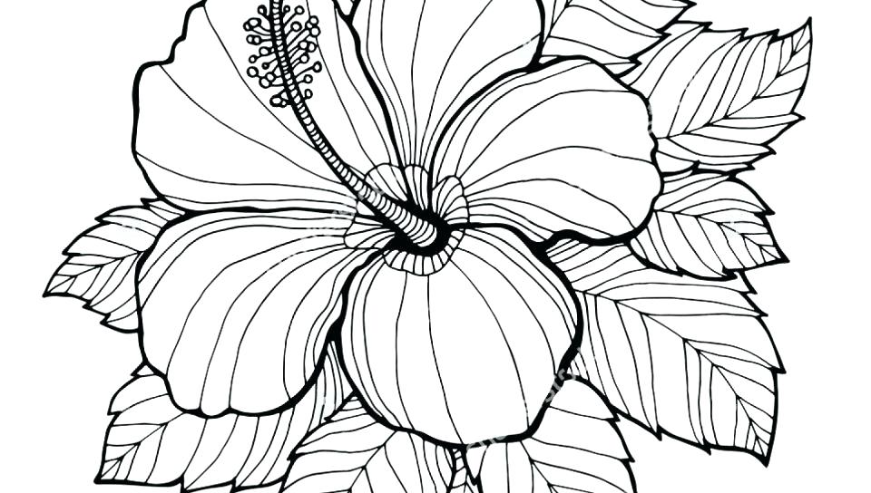 960x544 Coloring Pages Easter Chicks Lavender Labels Printable