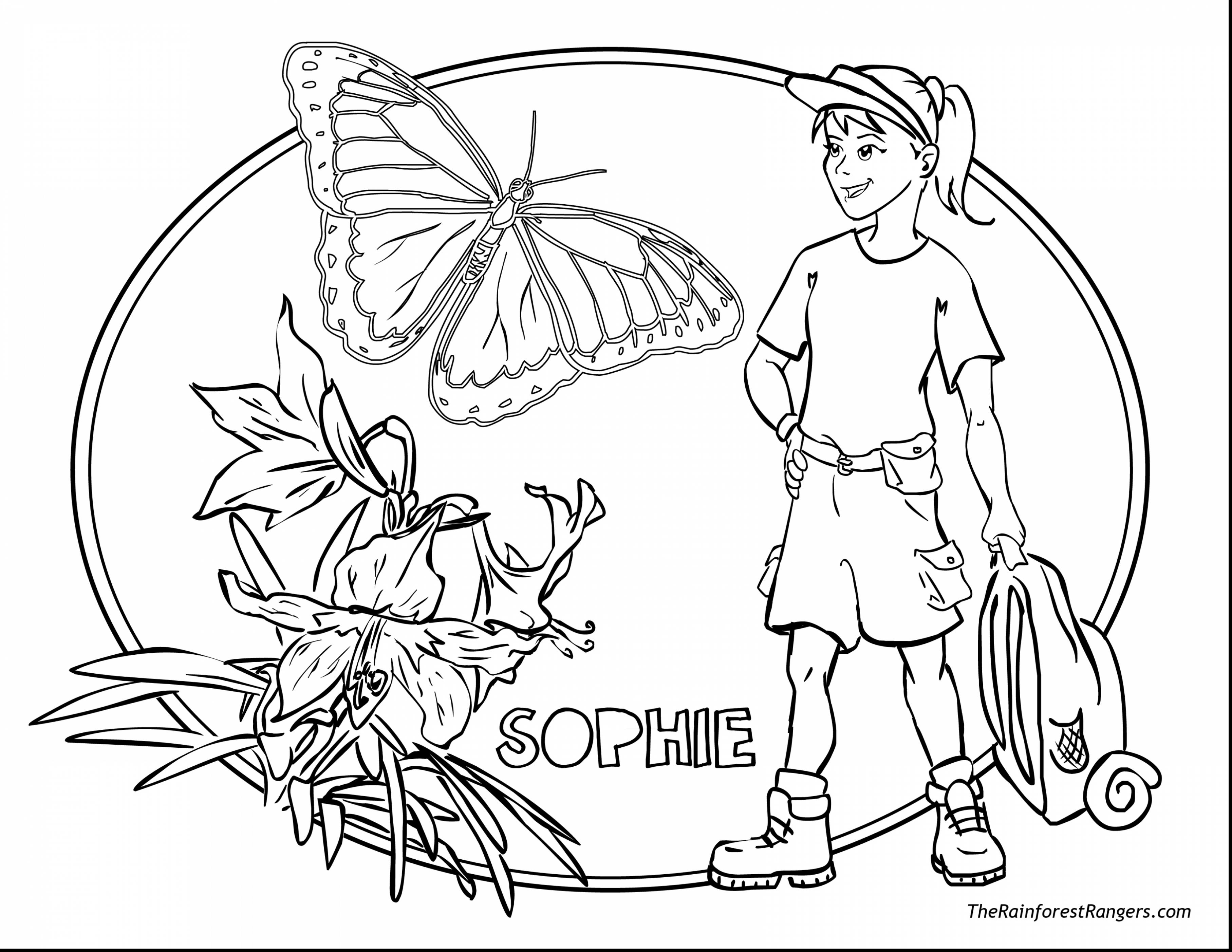 3630x2805 Rainforest Coloring Page