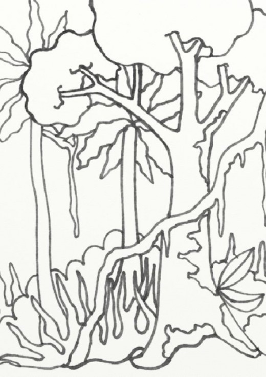 520x735 Rainforest Coloring Pages Luxury Wild Treasures Amazon Coloring