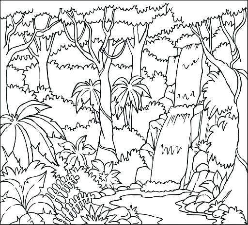 512x463 Rainforest Printables For Preschoolers Rain Forest Coloring Pages