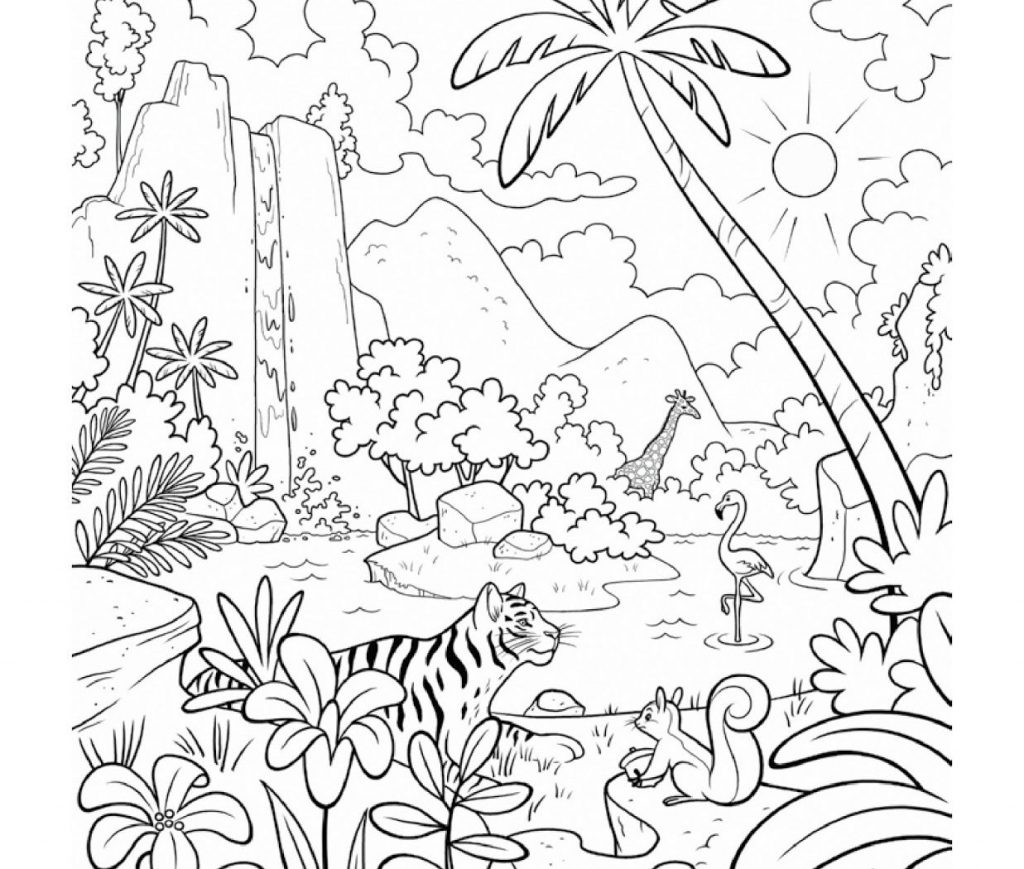 1024x869 Unique Rainforest Layers Coloring Page Mold