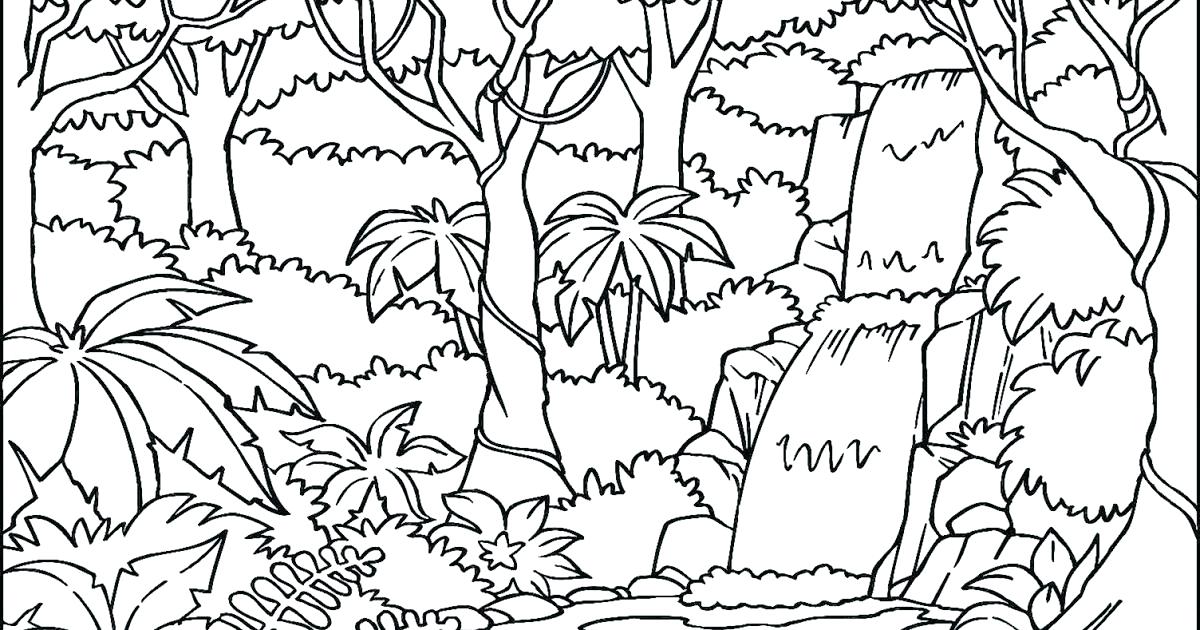1200x630 Rainforest Coloring Page Grandmaman.site